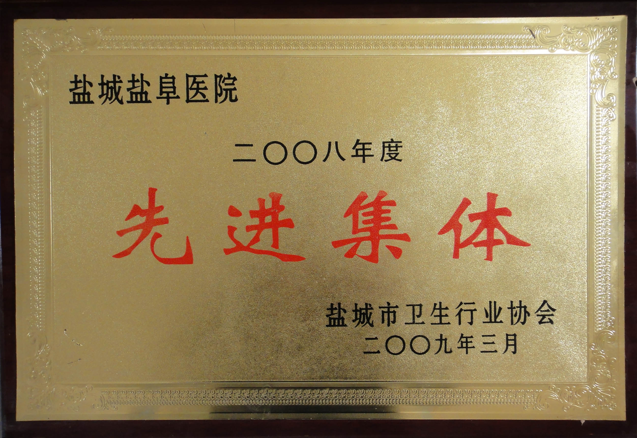 2008年度鹽城市衛(wèi)生行業(yè)先進(jìn)集體